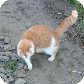 Sticker Больше стиков тут: @stikery4 - 3