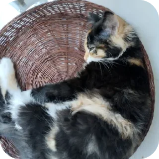 Sticker Больше стиков тут: @stikery4 - 2