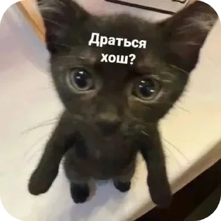 Sticker Больше стиков тут: @stikery4 - 8