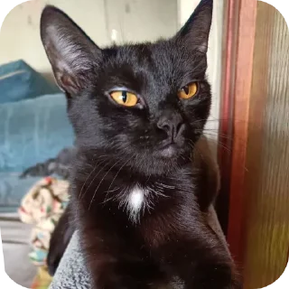 Sticker Больше стиков тут: @stikery4 - 11