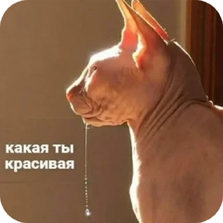 Sticker Больше стиков тут: @stikery4 - 5