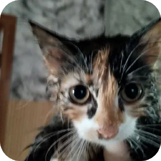 Sticker Больше стиков тут: @stikery4 - 9