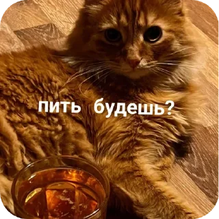 Sticker Больше стиков тут: @stikery4 - 4