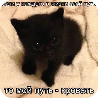 Sticker Больше стиков тут: @stikery4 - 10