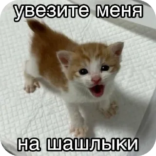 Sticker Больше стиков тут: @stikery4 - 7