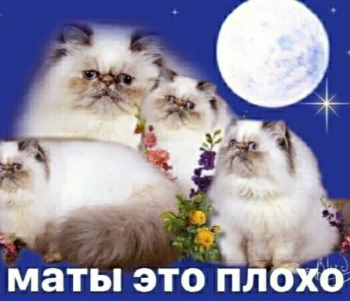 Sticker XFpTqCiPgMCVsl_by_stickers_stealer_bot - 1