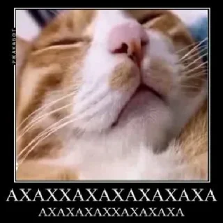 Стикер Больше стикеров 👉🏻 @stickertg4 - 9