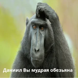 Sticker Пушкин - наше всё! - 0