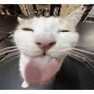 Sticker Больше стикеров 👉🏻 @stickertg4 - 11