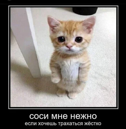 Стикер XKhQMDsLlhAuBHp_by_stickers_stealer_bot - 1