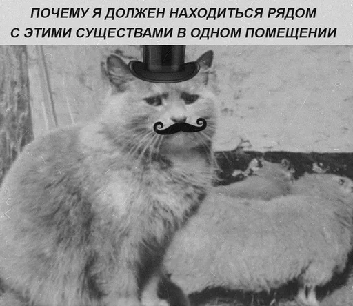 Sticker XMSvJUv_by_achestickbot - 1