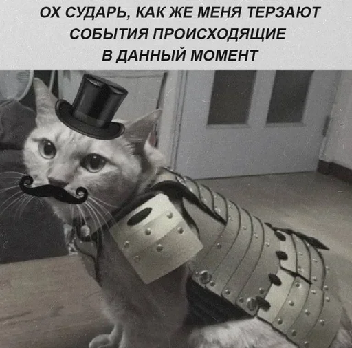 Стикер XMSvJUv_by_achestickbot - 1