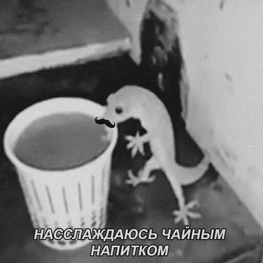 Sticker XMSvJUv_by_achestickbot - 1