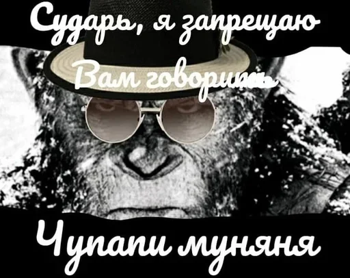 Sticker XMSvJUv_by_achestickbot - 1