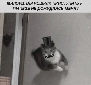 Sticker Больше стиков тут: @stikery4 - 10