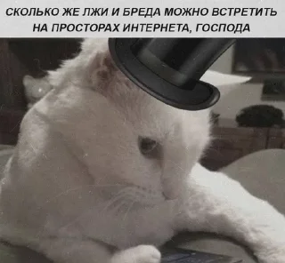 Sticker Больше стиков тут: @stikery4 - 11