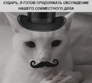 Sticker Больше стиков тут: @stikery4 - 2