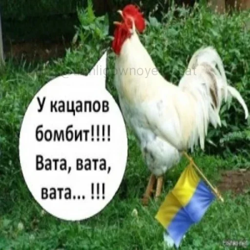 Sticker XOXJIOCKOT :: @fStikBot - 5