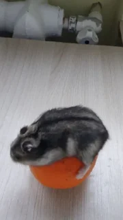 Стикер Пак создан в @moyi_stikery_bot - 7