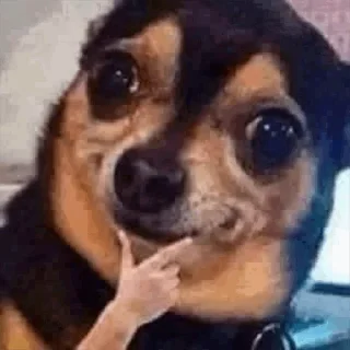 Sticker Больше стиков тут: @stikery4 - 0