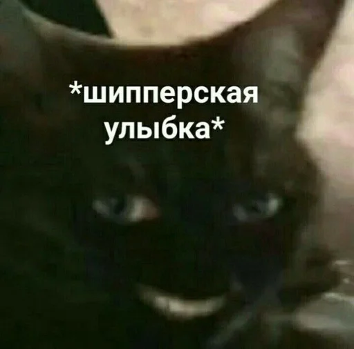 млекопитающее животное СМС