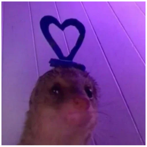 Стикер Стики 1033 из @Anonymnyi_chat_bot - 9