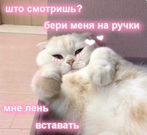 Sticker XWUjcTlrEpqByOHq_by_stickers_stealer_bot - 1