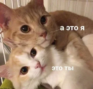 Стикер ВСЕ СТИКИ ТУТ: @sekstick - 0