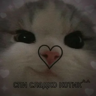 Стикер XYЙ - 10