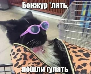 Стикер XYЙ - 5