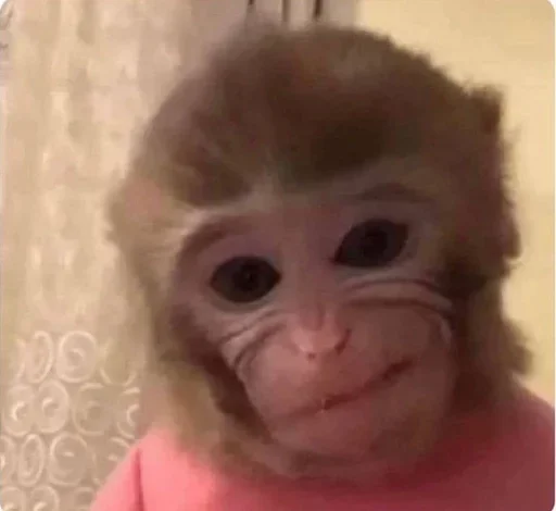 Стикер XaliqAnliq - 1