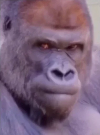 Sticker XaliqAnliq - 1