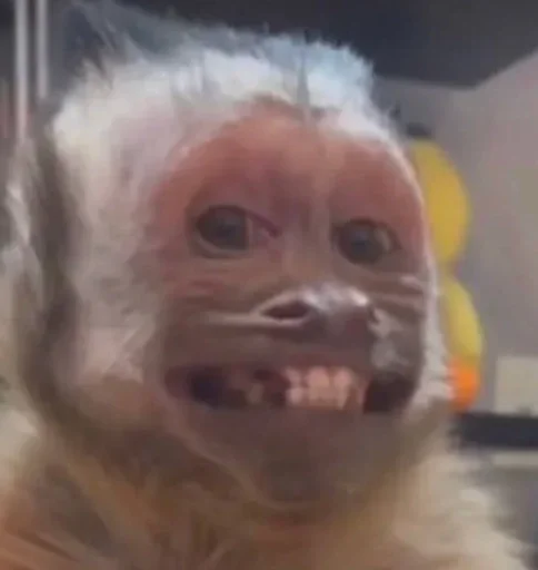 Sticker XaliqAnliq - 1