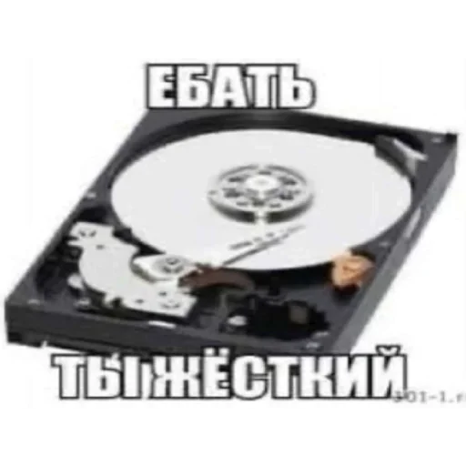 Sticker XaqWVoiTfX_by_stickers_stealer_bot - 1