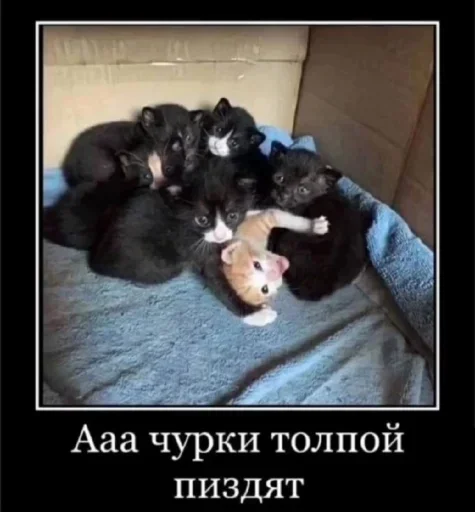 Стикер XbcZQECgTB_by_stealerstickerbot - 1