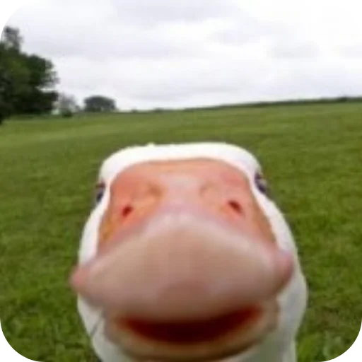 Sticker Xbox4pda - 1