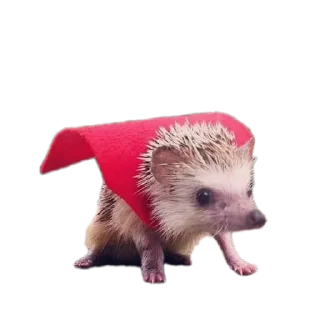 Sticker Xbox4pda - 8