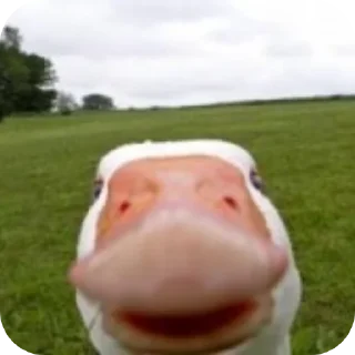 Sticker Xbox4pda - 11