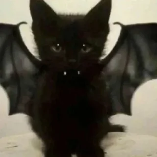 Sticker Китик - 5