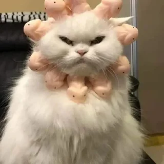 Sticker Китик - 1