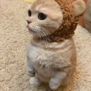 Sticker Китик - 7