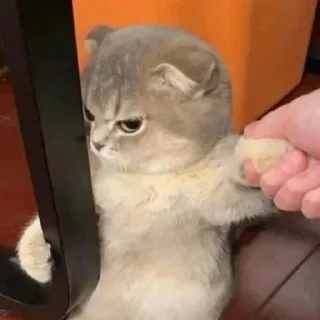 Sticker Китик - 9