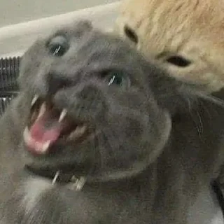 Sticker Китик - 0