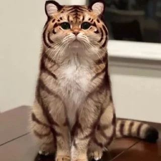 Sticker Китик - 8