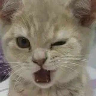 Sticker Китик - 2