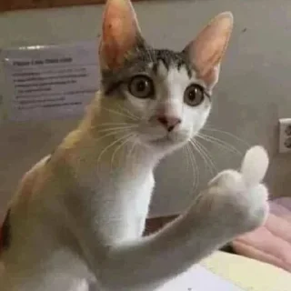 Sticker Китик - 10