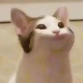 Sticker Китик - 6