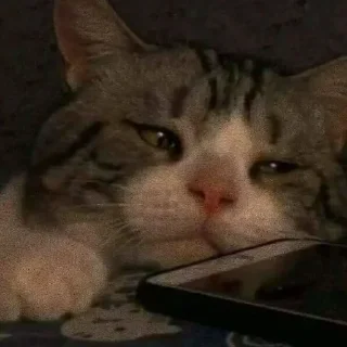 Sticker Китик - 11