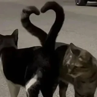 Sticker Китик - 4