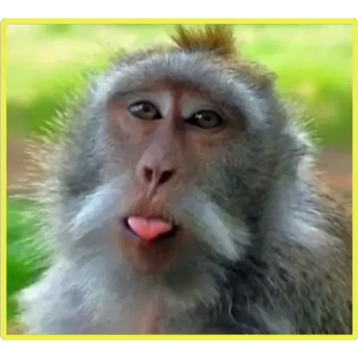 Стикер Xdq_dKZvQL_by_sticker0020Bot - 1